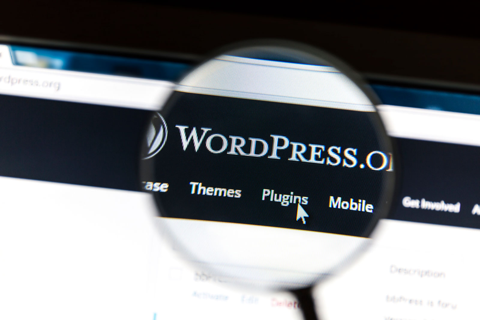 <br> <b>Notice</b>: Undefined index: alt in <b>/home/oangle/public_html/wp-content/themes/oangle/archive.php</b> on line <b>64</b><br>