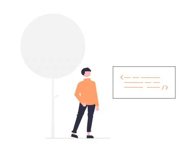 How To Enqueue External Scripts On WordPress